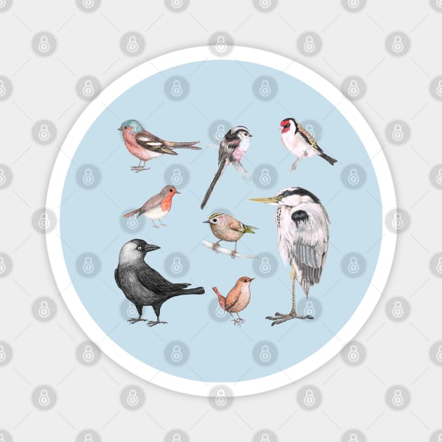 Bird collection Magnet by Bwiselizzy